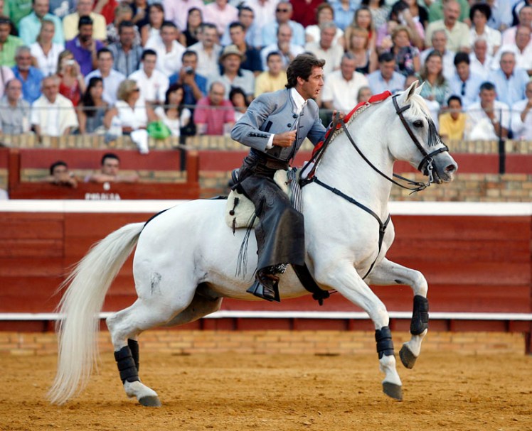 Fusilero-en-la-plaza-de-Sevilla