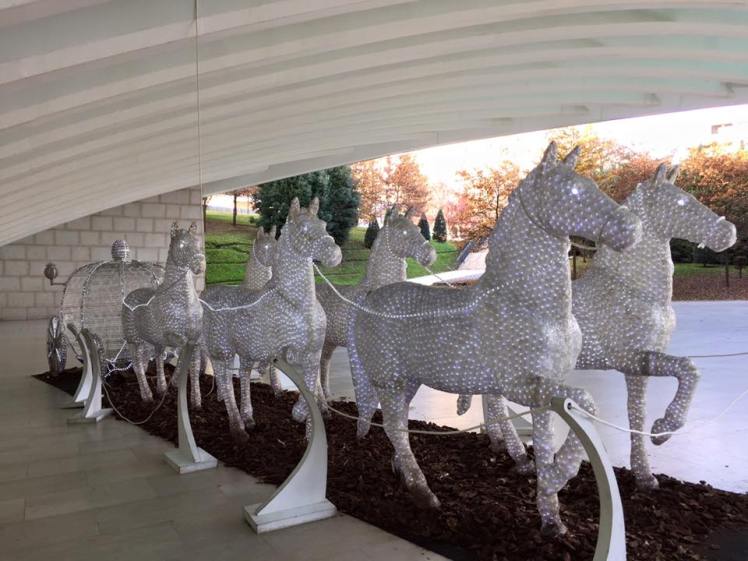 12509677_10209016432071949_1318713518906526641_n