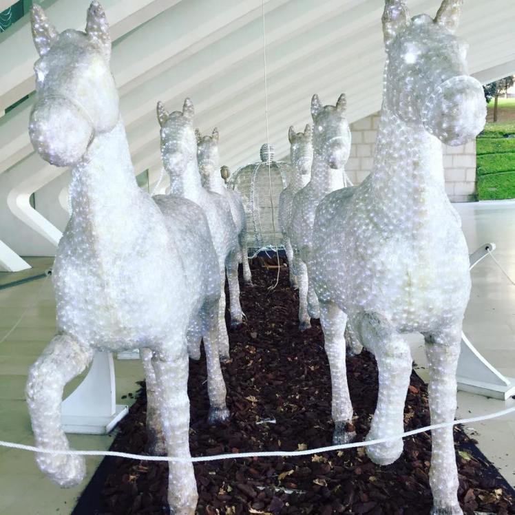 12509907_10209016431791942_8821453739983498381_n