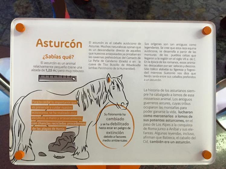 12523040_10209001908668873_7785888717169376798_n