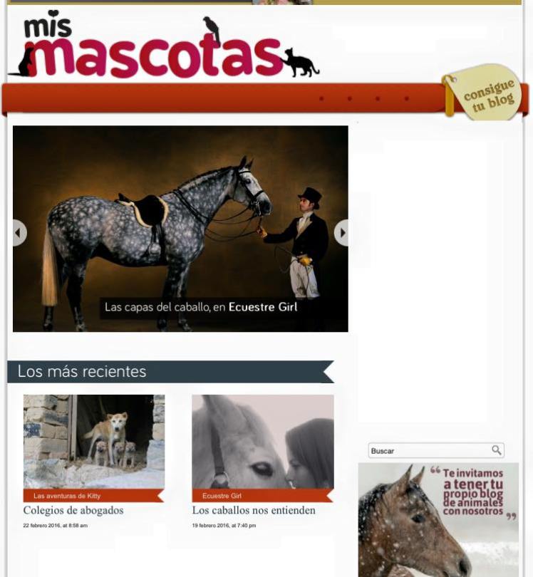 12743655_10209334628226654_6096119988407927182_n