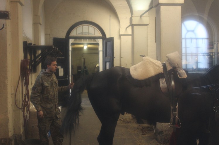 postlondonhorses (113)