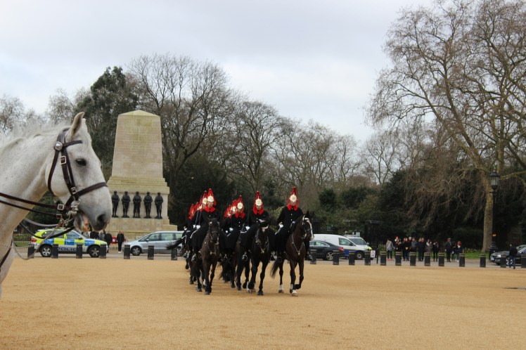 postlondonhorses (133)