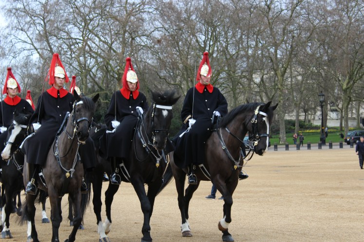 postlondonhorses (135)