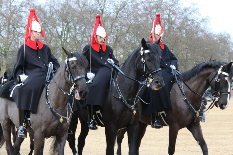 postlondonhorses (137)