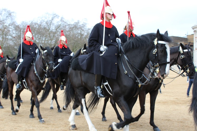 postlondonhorses (139)