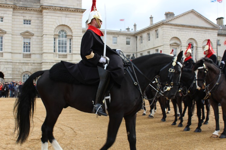 postlondonhorses (155)