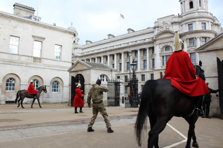 postlondonhorses (33)