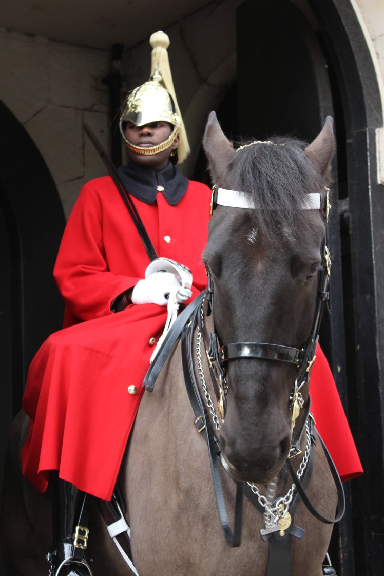 postlondonhorses (45)