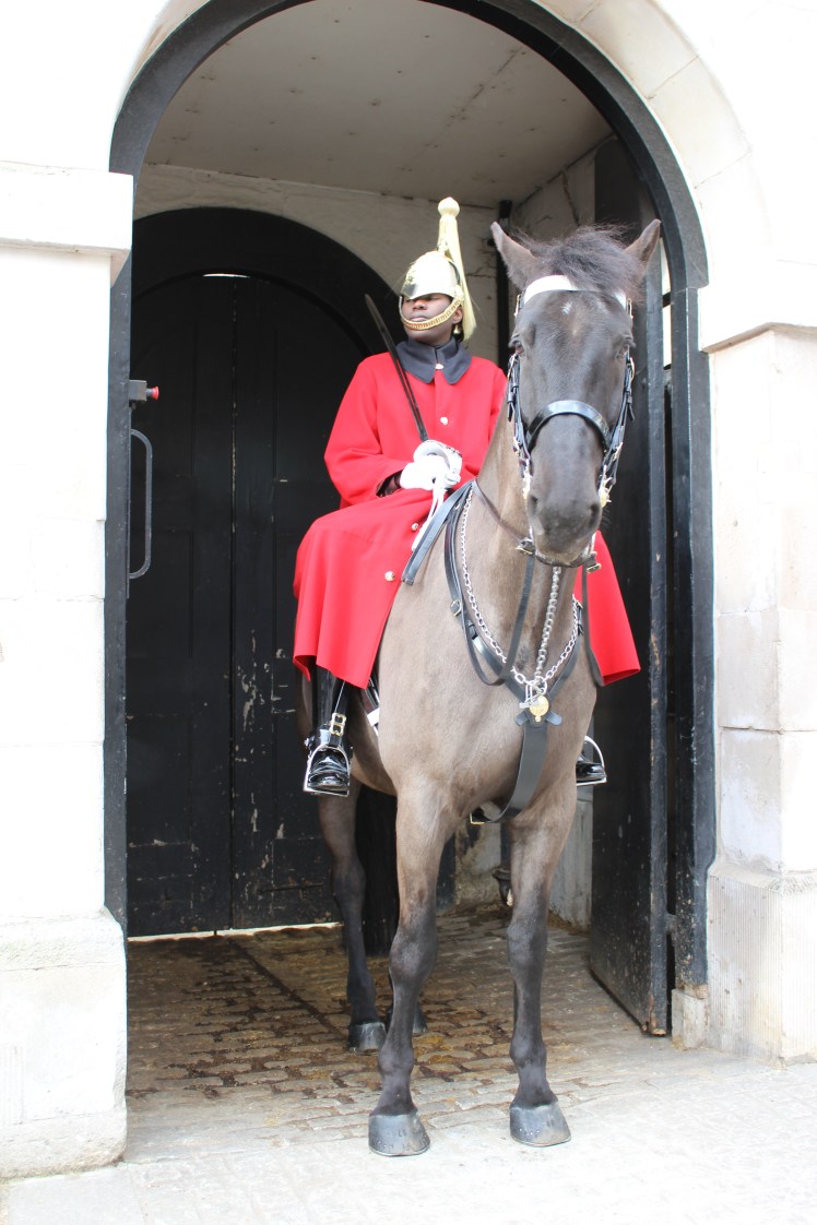 postlondonhorses (47)