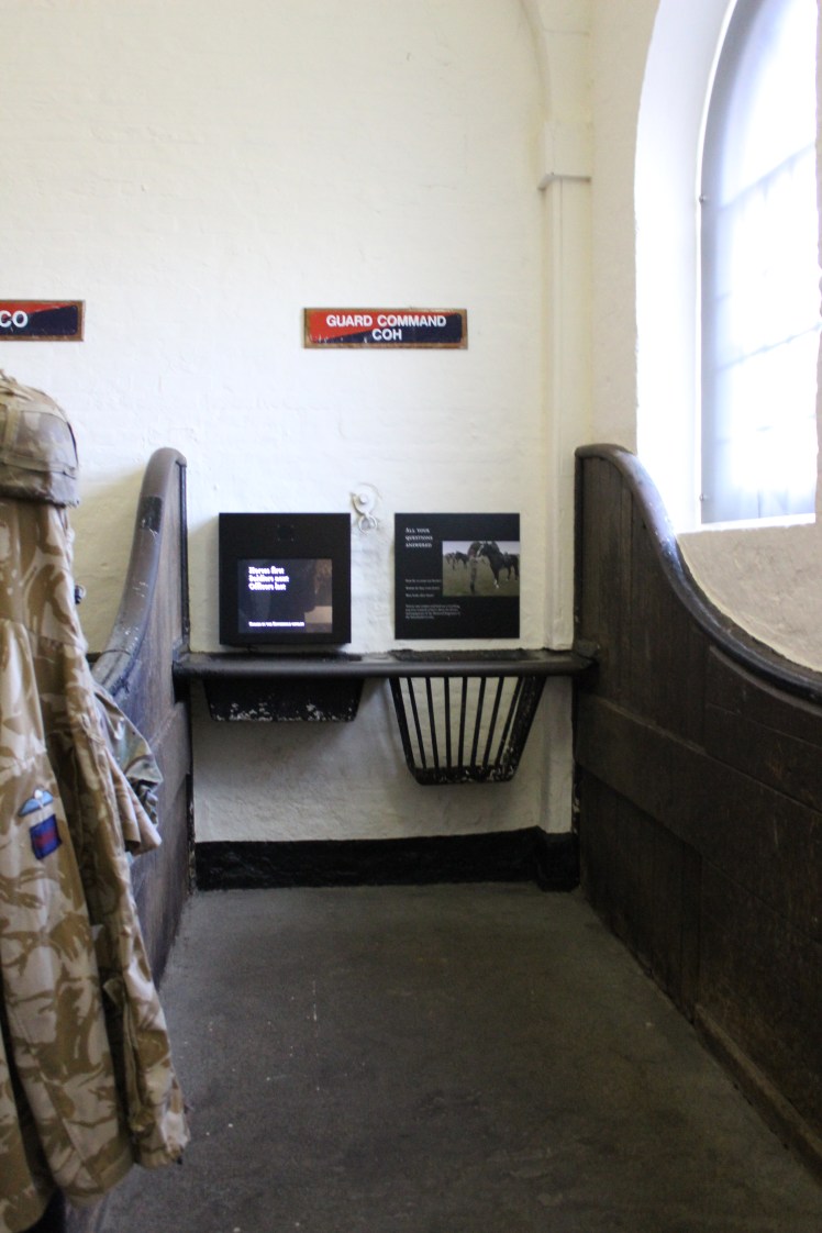 postlondonhorses (76)