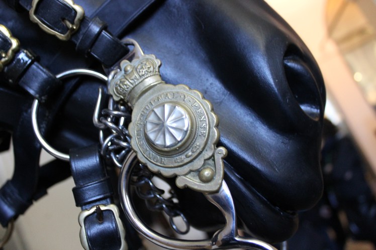 postlondonhorses (79)