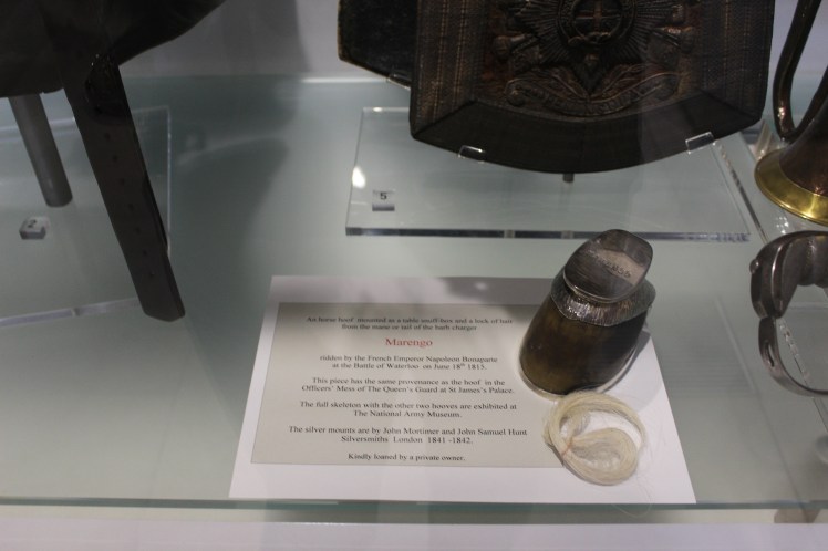 postlondonhorses (99)