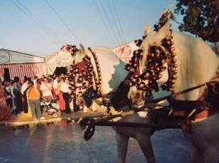 13051523_10209969371054828_7997865139564621754_n