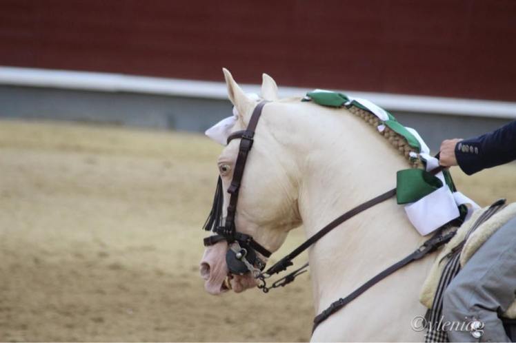 13226936_10210168913923275_5088863893910433596_n