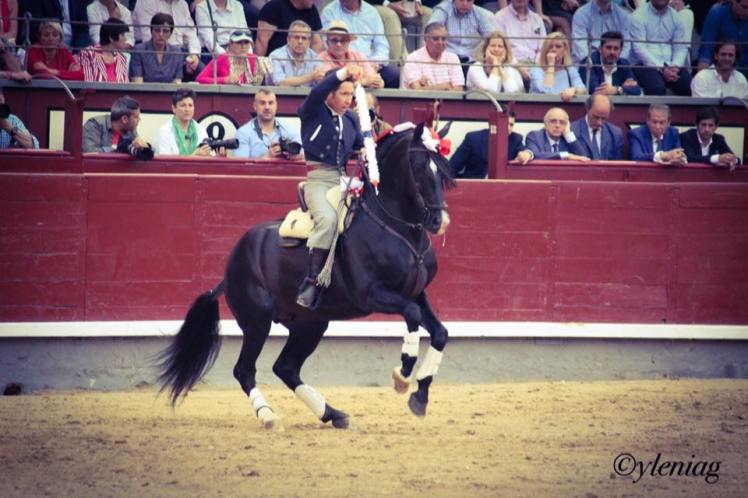 13241109_10210168909683169_6341291821914312079_n