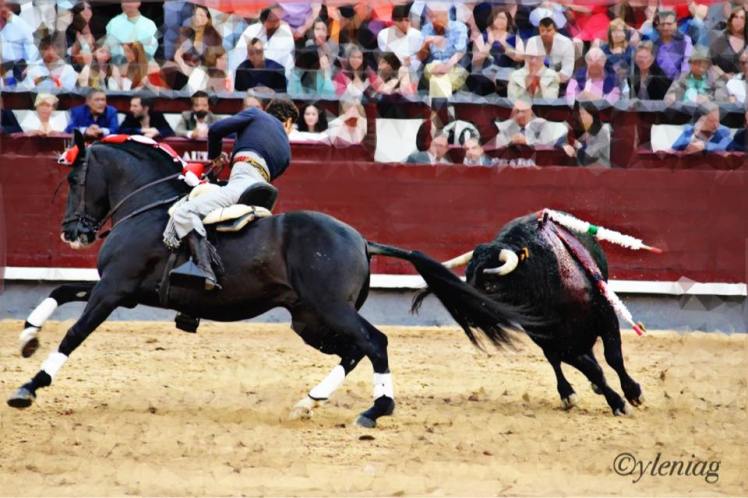 13241210_10210168912723245_1385423113554699183_n