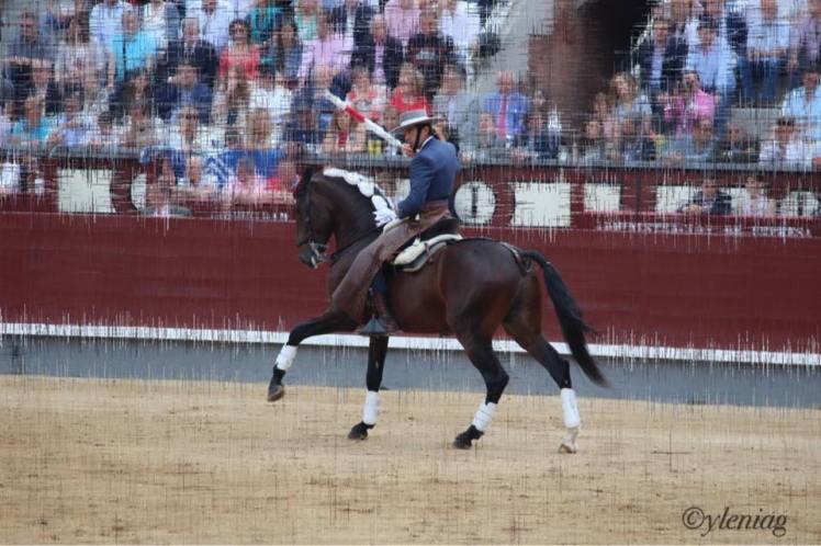 13244810_10210168914483289_7966949218453026964_n