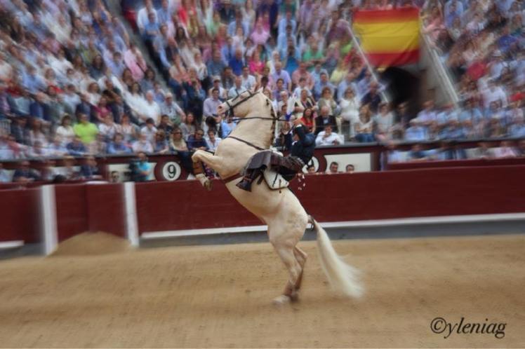 13256150_10210168912843248_7272366298435950125_n