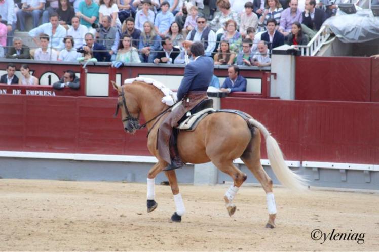 13256284_10210168910523190_8663897965582814470_n