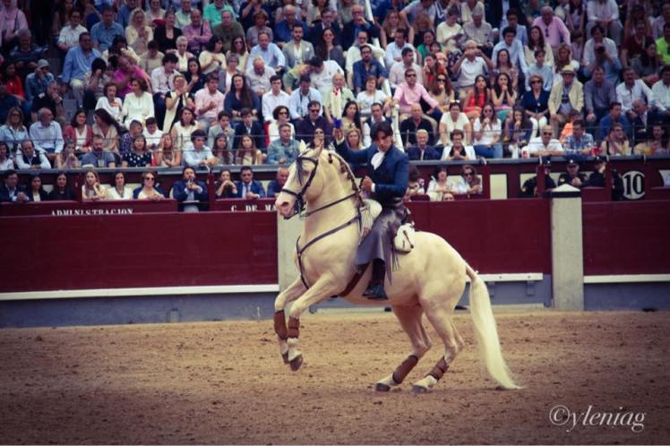 13260075_10210168911923225_3162598857039695986_n (1)