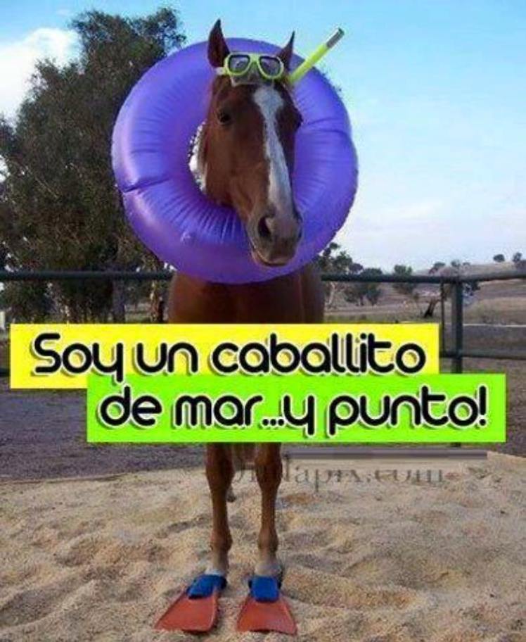 13557736_10210445587799949_3287740643676285153_n