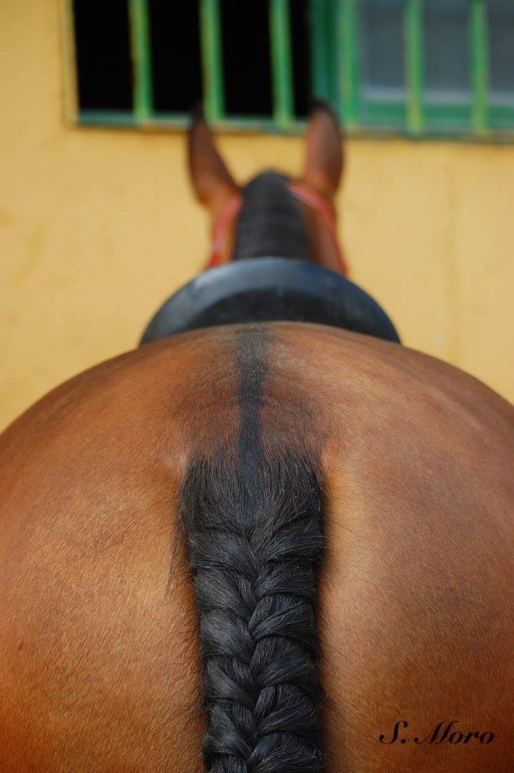 13268609_1726929744213429_7865904117314309746_o