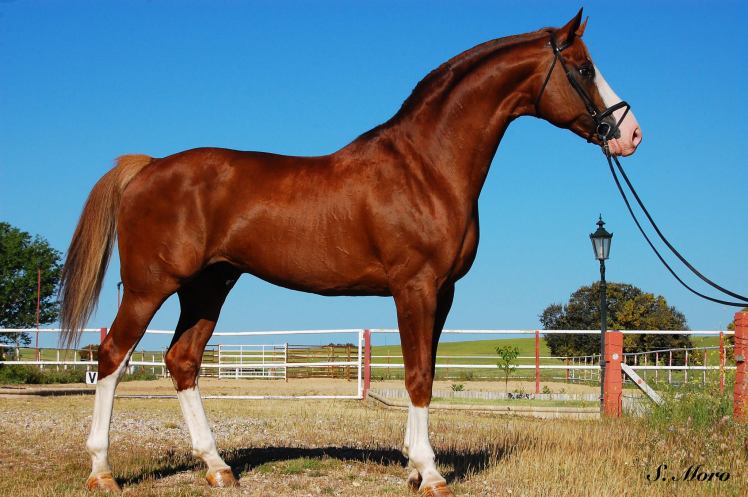 13329566_1729409340632136_3241232295904134466_o