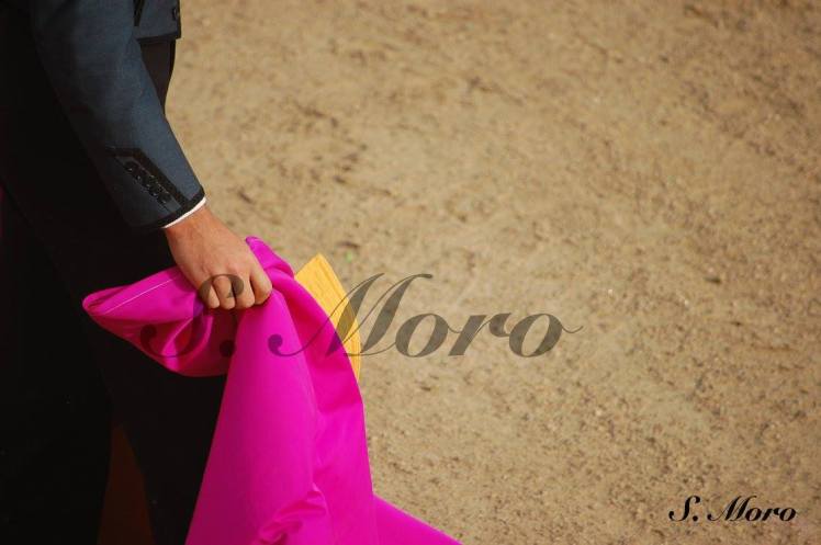 13576908_1742541055985631_5942796890276971614_o