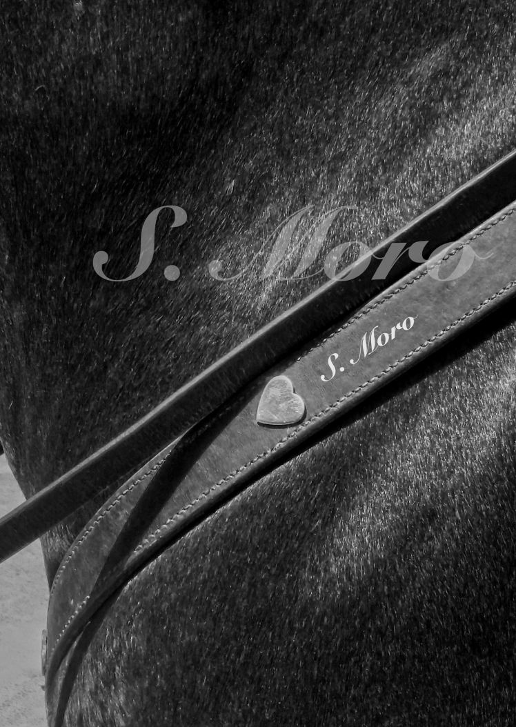 13996225_1760454410860962_7542282016313336353_o