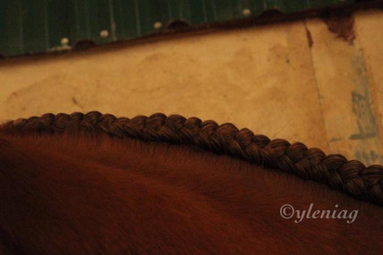 14993294_10211793504617027_5756531469546346326_n