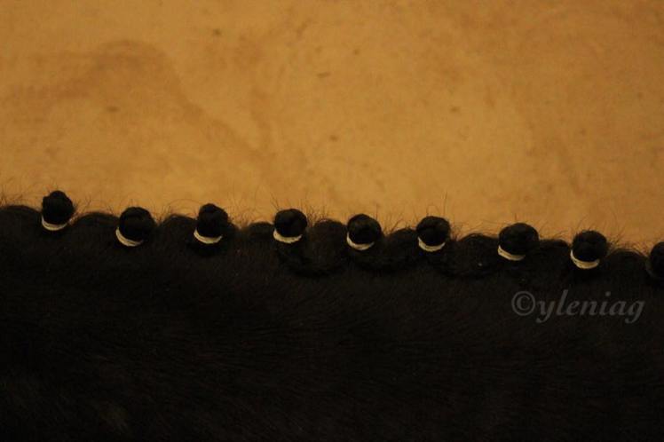 15036488_10211793504657028_1650305672402253362_n