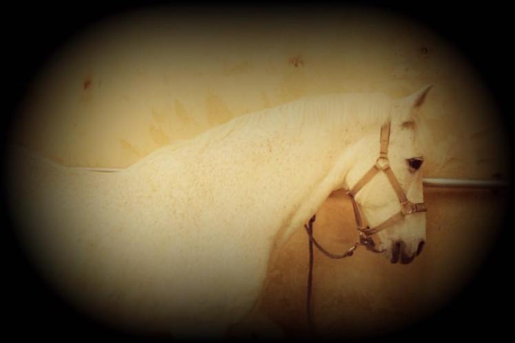 15094363_10211793870146165_7044120052175461133_n