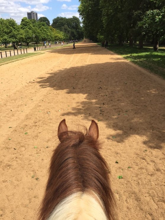 11402438_889353574463844_4016126709451737668_o