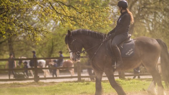 27747856_1708140282585165_5938233635574598543_o