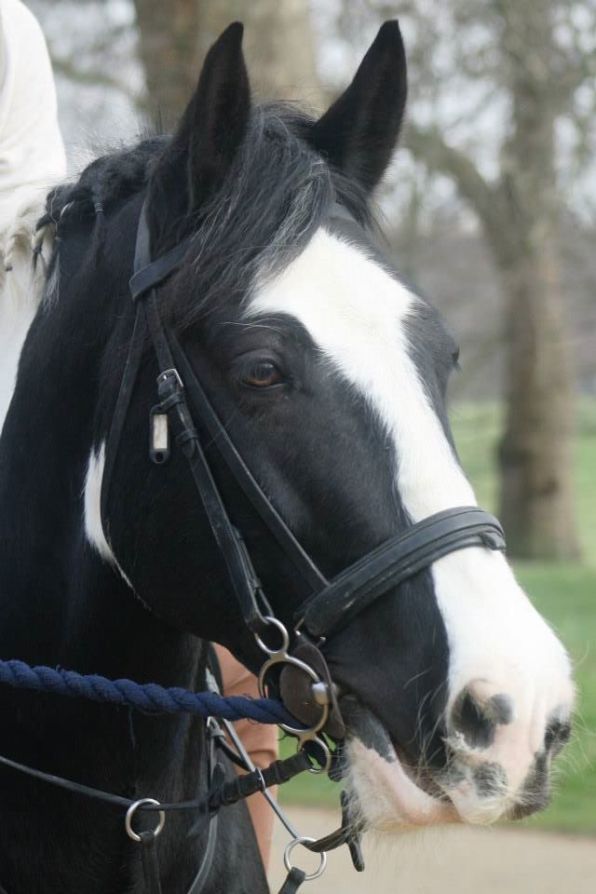 63752_779723848760151_5349332759778649736_n